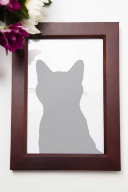 Ahşap bir çerçevede evcil kedi portresi