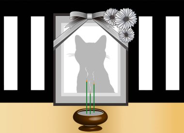 Ahşap bir çerçevede evcil kedi portresi