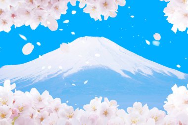 mt. Fuji kiraz çiçeği arkaplanlı
