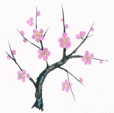 suluboya sakura kiraz çiçeği çizimi 