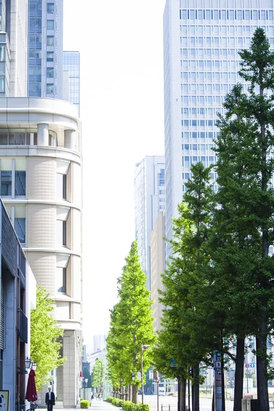 Edificio Moderno Con Árboles Verdes Ciudad —  Fotos de Stock