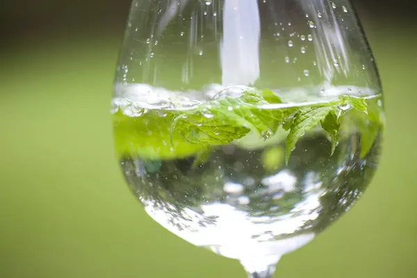 Water Gieten Glas Met Munt — Stockfoto