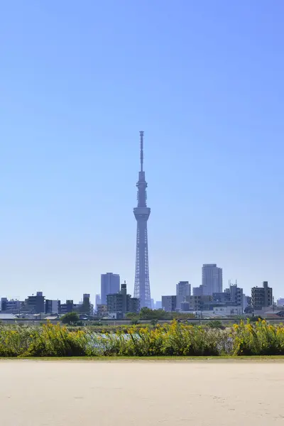 화창한 타워와 스카이라인 — 스톡 사진