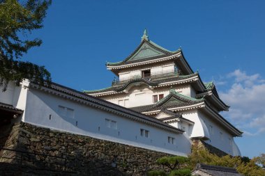 Wakayama Kalesi, Wakayama, Japonya