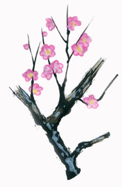 suluboya sakura kiraz çiçeği çizimi 