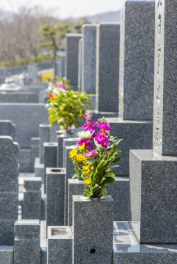 Mezarlıktaki çiçeklerin çeşitliliği