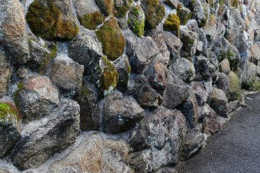yeşil yosun ile eski taş duvar