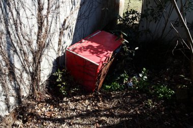 Dışarıdaki bitkilerin arasında duran eski kırmızı buzdolabı.