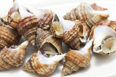 Kabuklu midyeler tabakta