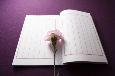 Karanfil çiçeğiyle defter sayfalarını aç 