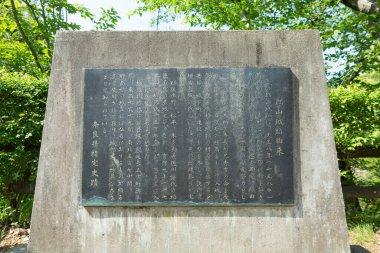  Japonca işaretler hiyeroglifler taşın üzerinde, yakın mesafede.