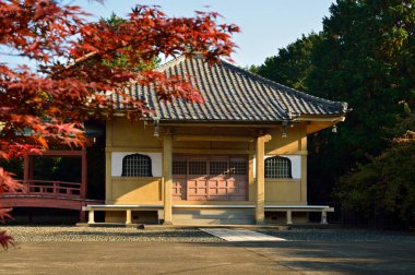 Geleneksel bir Japon tapınağının göz alıcı manzarası.