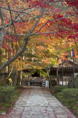 Japon bahçesindeki güzel sonbahar manzarası