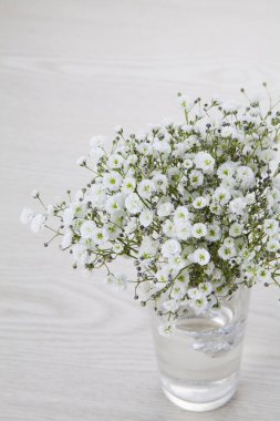 Açık arkaplanda güzel beyaz çiçekler.