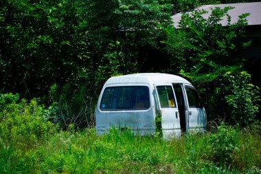 Uzun yeşil çimlerle çevrili terk edilmiş beyaz minibüs.