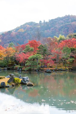 Sonbahar dağlarında nehir. Japonya.