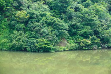 Gölet ve dağ manzarası