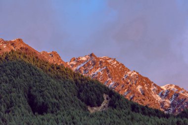 Çimen tarlası ve dağ manzarası