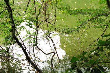 güzel bahar lake Park