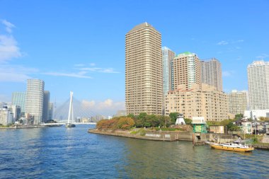 Sumida Nehri ve köprüsü. Tokyo, Japonya.