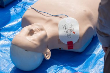 Kalp masajı eğitimi tıbbi prosedürü - Kalp masajı bebeği üzerinde göğüs kompresyonu gösteriliyor 