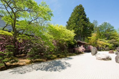 Gündüz Japon Bahçesi, Kyoto, Japonya