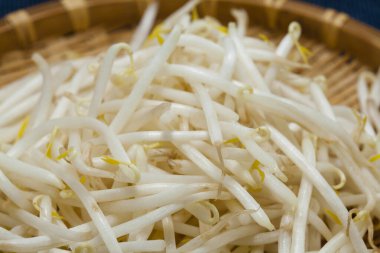 Fasulye filizlerinin yakın görünümü