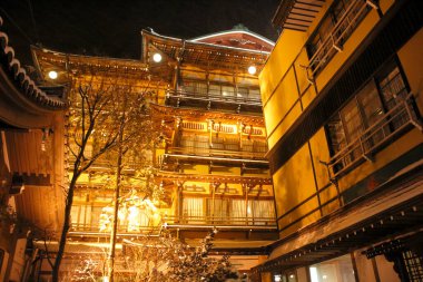 Geceleri ağaçlar ve ışıklarla çevrili aydınlık binalar.