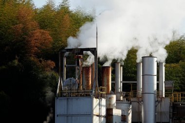Fabrika ağaçlarla dumandan çıkıyor.