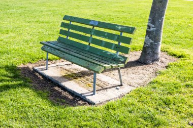 Yeşil Park 'taki boş ahşap bank