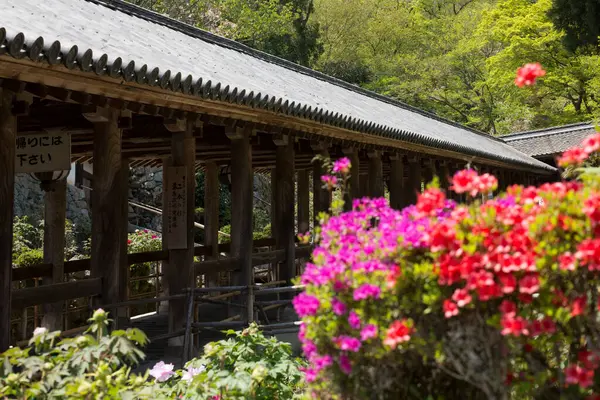 Templo Hasedera Famoso Templo Cidade Kamakura Japão Flores — Fotografia de Stock