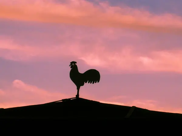 silhouette of bird roof on sunset sky