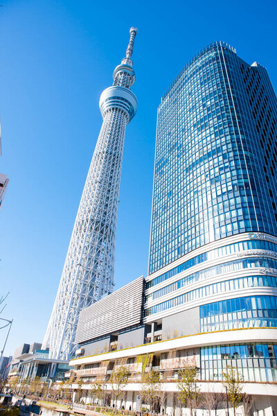 Tokyo Skytree and Tokyo Skytree East Tower against clear blue sky in Sumida Ward, Tokyo, Japan 