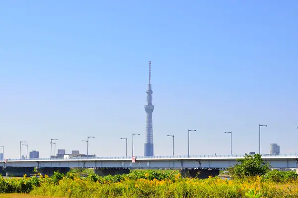 Torre Tóquio Horizonte Cidade Dia Ensolarado Japão — Fotografia de Stock