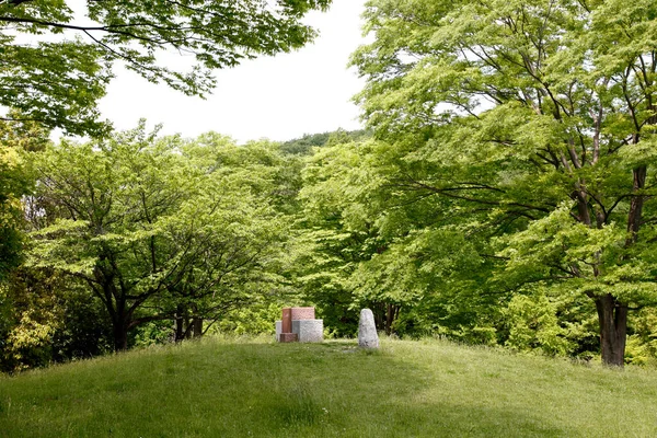 Каменная Могила Кладбище — стоковое фото