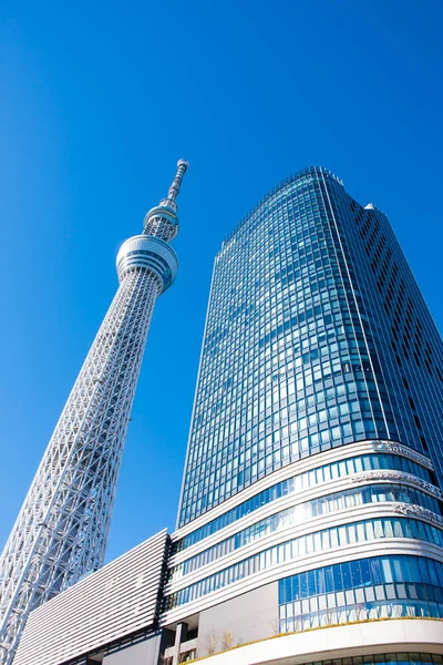 Tokyo Skytree ve Tokyo Skytree Doğu Kulesi Sumida Ward, Tokyo, Japonya 'da açık mavi gökyüzüne karşı 