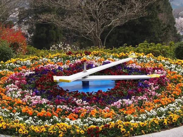 Horloge Faite Belles Fleurs Dans Jardin — Photo