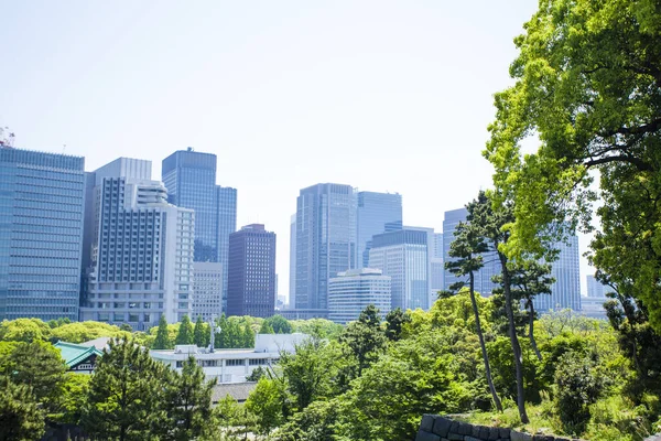 stock image modern building and green trees in the city 