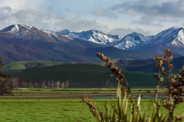 Çimen tarlası ve dağ manzarası