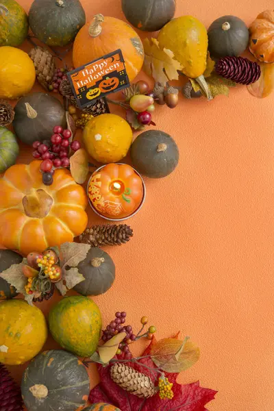 Composición Con Calabazas Halloween Decoraciones Otoñales —  Fotos de Stock