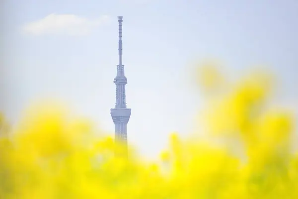 Widok Tokio Skytree Kwiatami — Zdjęcie stockowe