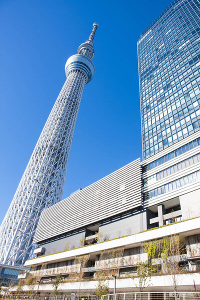 Tokyo Skytree and Tokyo Skytree East Tower against clear blue sky in Sumida Ward, Tokyo, Japan 