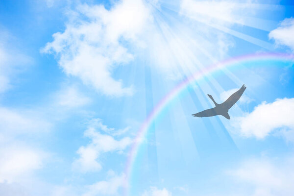 rainbow in blue sky and white airplane