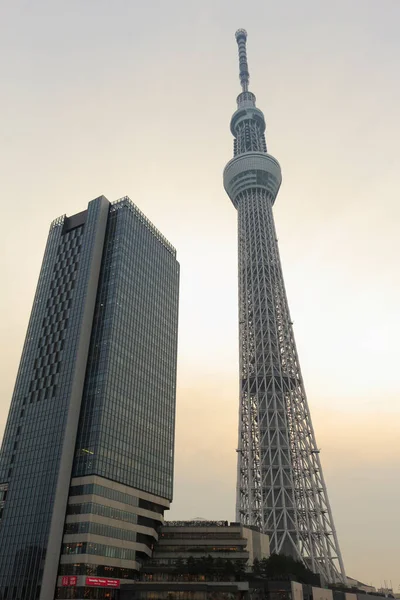 Tokyo Torn Japansk Utsikt Från Himlen — Stockfoto