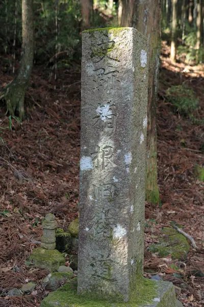 Japans Stenen Monument Japans Achtergrond Close — Stockfoto