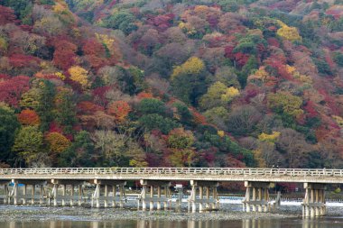 Japonya 'da nehir boyunca köprü. Sonbahar sezonu