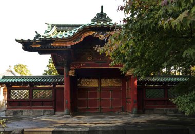 Geleneksel bir Japon tapınağının göz alıcı manzarası.