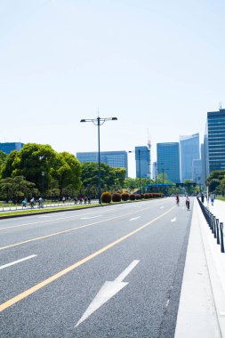 yeşil ağaçlar ve modern binalar 