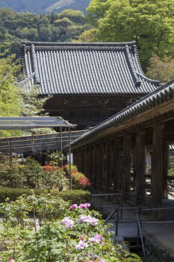 Antik tapınak binası, Asya kültürel mimarisi