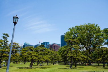 yeşil ağaçlar ve modern binalar 